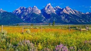 Yellowstone national park, wyoming picture: Wyoming Pictures And Facts