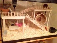 Reka bentuk rumah dari kotak. Rumah Hamster Diy Dari Pilihan Bagaimana Membuat Rumah Untuk Hamster Dengan Tangan Anda Sendiri Rumah Untuk Hamster Dari Kotak Anyaman