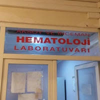 Hastanelerimiz i̇stanbul üniversitesi bünyesinde yer alan 5 hastanemiz ile vatandaşlarımıza sağlık alanında hizmet etmekteyiz. Istanbul Universitesi Capa Tip Fakultesi Hematoloji Poliklinigi Molla Gurani 1 Tip From 187 Visitors