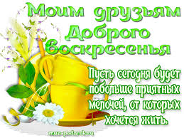 открытки с добрым утром на любой день недели бесплатно Https Encrypted Tbn0 Gstatic Com Images Q Tbn 3aand9gctsxcuylguf7vdnax07vje3txbceuo Fvthrq Usqp Cau