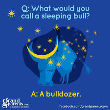 Jokes Kids Humor Funny Jokes For Kids Jokes For Kids Funny Riddles