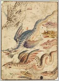 Study Of A Dragon 1560 1600 Italy Medieval Dragon Medieval Art Art
