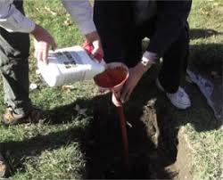 Mike was looking at replacing the drain field of a system that was only 10 years old. Repair Restore Septic Drain Filed Unclog Septic System Septic Drainer