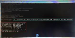 Easy Way To Check Tpm Status From Command Line Prajwal Desai