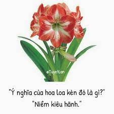 Hoa loa kèn có nguồn gốc từ nhật bản và đài loan, sau đó hạt giống được đem đi trồng và phân bố rộng rãi trên thế giới như ngày nay. Y NghÄ©a Loai Hoa Ngon Ngá»¯ Cá»§a Cac Loai Hoa Hoa Thá»±c Váº­t