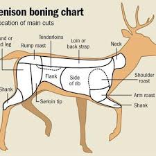 know the cuts of venison george herald