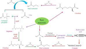 Ethyl Carbamate An Emerging Food And Environmental Toxicant Sciencedirect