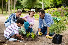 'the artist's family in the garden' was created in 1875 by claude monet in impressionism style. Happy Family Gardening Together In Garden Stock Photo Picture And Royalty Free Image Image 71721073