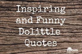 Pin by paige wheeler on mischief managed in 2020 | snitches get stitches, hoop art, snitch : 21 Inspiring And Funny Dolittle Quotes 2020 Funtastic Life