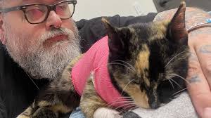 Fundraiser for Alex Sherker by Regina Campos : Support Zyx's Healing After  Dog Attack