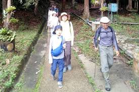 34,533 likes · 2,216 talking about this · 13,356 were here. Spacetraveller Activity Forest Research Institute