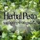 Herbal Pesto Using Spring-Foraged Plants event image