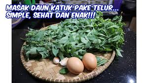 To access the menus on this page please perform the following steps. Masak Daun Katuk Pakai Telur Simple Enak Dan Sehat Youtube