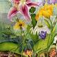 Botanical Watercolor Painting with Roberta event image