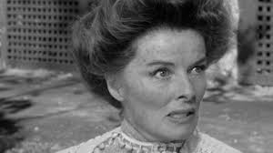 TCM Diary: Robert Ryan