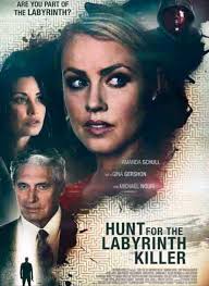 Pin On Lifetime Movies