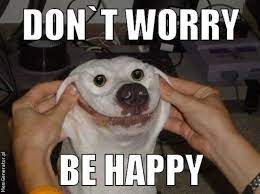 That includes funny memes for friends, family, and more. 85 Happy Memes To Brighten Your Day And Make You Smile