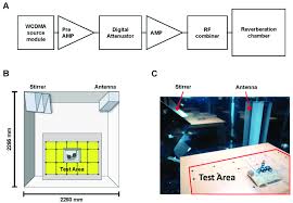 Rf Emf Exposure System A Schematic Flow Chart Of Rf Emf