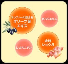 サプリメント パーフェクトスリムシリーズ 無添加化粧品 健康食品 サプリメント通販のファンケルオンライン