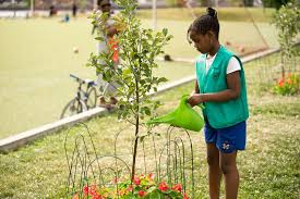 We are a family owned and operated nursery in portland oregon. Fruitrees New York Trees New York