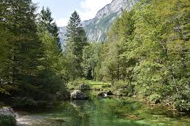 Los primeros años de transición fueron ejemplares. Eslovenia Bohinj Naturaleza Montanas Paisaje Fondo De Pantalla Hd Wallpaperbetter