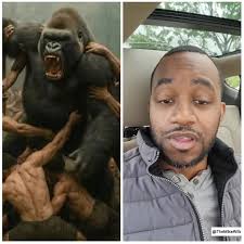 100 Men vs #Gorilla #comedy #100MenVs1Gorilla