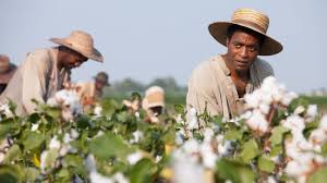 But this supporting crew all take a back seat the complicated tango played out by northup's most malicious master, edwin epps—who is given more than a few shades. 12 Years A Slave Kritik Film 2013 Moviebreak De