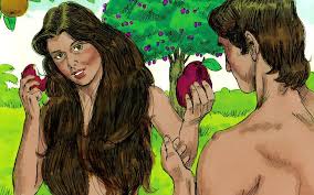 Who Were Adam And Eve From The Bible? Why Did God Create Them?