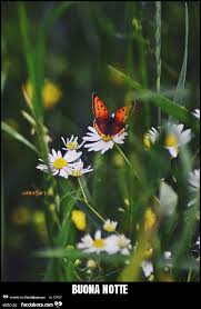 1 foto · creato da gemm. Immagini Buonanotte Farfalle Fiori