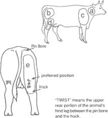 Maybe you would like to learn more about one of these? Types Of Cattle And Horse Brands Business Queensland