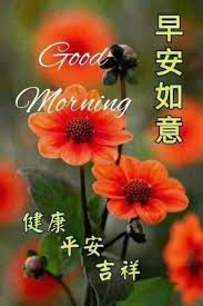 pin by hanson phuah on 早安 花 happy morning quotes good morning greetings good morning wishes