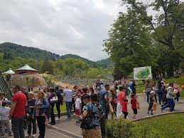 Grădina zoologică brașov este unul dintre cele mai vizitate obiective turistice din oraș. GrÄdina ZoologicÄ BraÈov