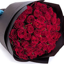 It produces its velvety, scarlet red flowers in large clusters and has shiny/purply foliage. Top 25 Most Beautiful Red Roses