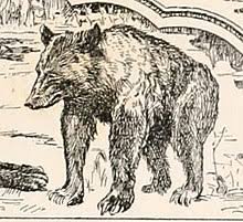 Watch online the jungle book (2016) in full hd quality. Baloo Wikipedia