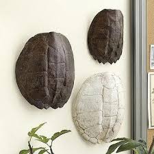 Turtle Shell Plaque In Brown And White Shell Decor Turtle Shell Wall Decor
