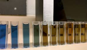 Lowry who developed the reagent in the 1940s. Which Protein Assay Is Best For You Azure Biosystems