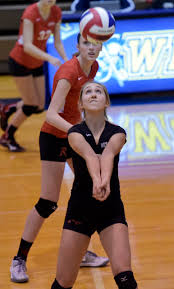 Holy Redeemer, Nanticoke win District 2 girls volleyball titles