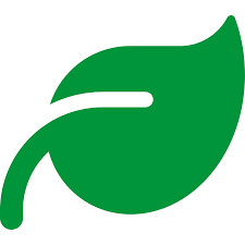 Image result for Bourrasque 2011 Citroen