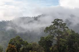 Book the cheapest genting highlands hotels and hostels with real guest reviews and ratings plus world class customer grand ion delemen hotel genting highlands located at genting highlands. Elevation Of Resorts World Genting Genting Highlands Genting Highlands Pahang Malaysia Topographic Map Altitude Map