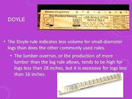 Doyle Log Scale Stick Btrenren Co