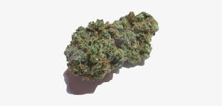 Weed Blunt Mlg Mlg Weed Png Transperent Transparent Png 500x375 Free Download On Nicepng Search more hd transparent mlg blunt image on kindpng. weed blunt mlg mlg weed png