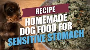 Easy cooked dog food recipe (this is the simplest cooked dog food recipe to prepare and try feeding one of the homemade dog food recipes and see if their overall health improves. Homemade Dog Food For Sensitive Stomach Recipe For Gi Disorders Youtube