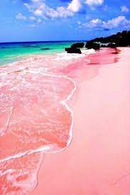 Pink Sand Beach Harbor Island Bahamas Plage Paradisiaque Paysage Magnifique Mer Paysage Incroyable