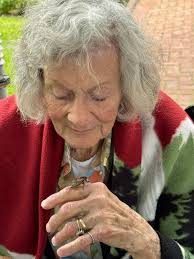 Cicada Activity in Evanston and Wilmette, Illinois