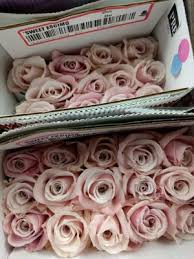 No products in the cart. Associated Cut Flower Company 131 W 28th St New York Ny Florists Wholesale Mapquest