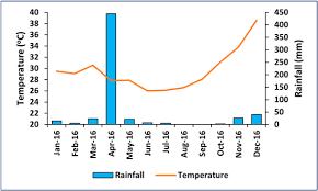 Image result for Pavetta stenosepala