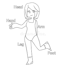 The lower extremity refers to the part of the body from the hip to the toes. Body Parts Coloring Page Stock Illustration Illustration Of Artistic 85739454