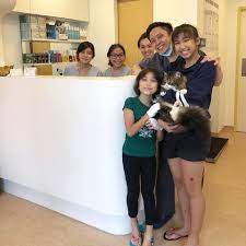 Winter was brought down to advanced vetcare for consultation. Advanced Vetcare Home Facebook