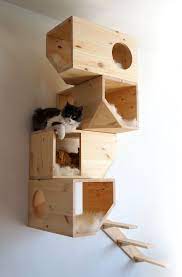 Www Catissa Com Diy Cat Toys Cat Furniture Cat Diy