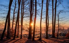 2 comments on the winter solstice | celebrating yule. Winter Solstice 2020 When Is The First Day Of Winter What Is The Winter Solstice The Old Farmer S Almanac
